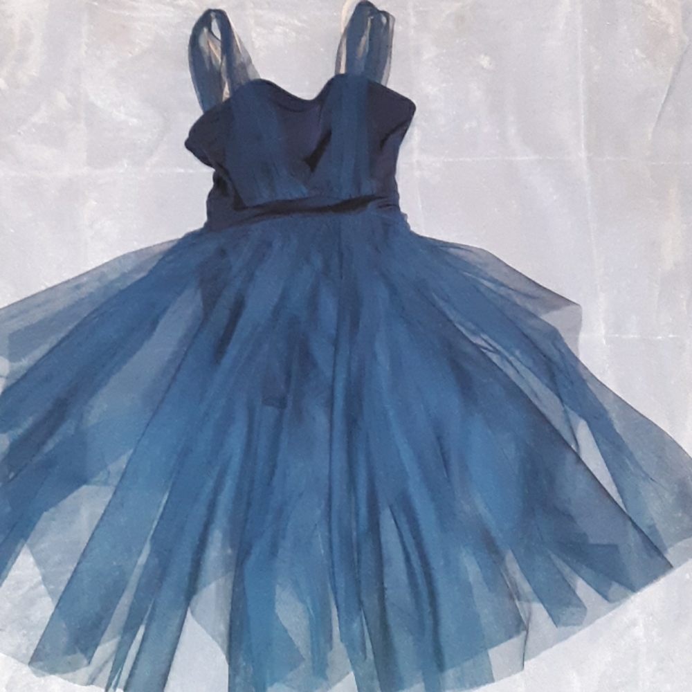 Dancers tulle dress leotard